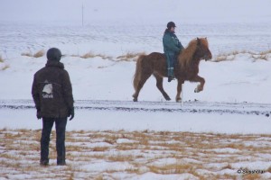 Kaldbakur Tour 2015 (24)